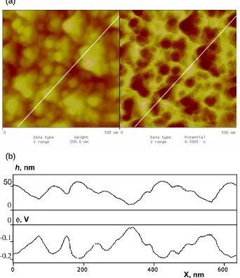 Figure 3.2. (a) Simultaneous 500nm by 500nm images of topography (left) and surface potential (right) acquired in the KFM feedback mode for a “regular” polybithiophene sample