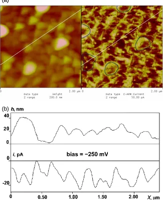Figure 3.3. (a) Simultaneous 2 μm by 2 μm images of topography (left) and CS-AFM current (right) for the same “regular” polybithiophene sample as in Fig