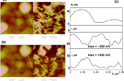 Figure 3.4. (a) Simultaneous 1μm by 1μm images of topography (left) and CS-AFM current (right) for the same “regular” polybithiophene sample as in Fig