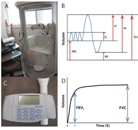 Figure 1.4: Pulmonary function testing (A) A whole body plethysmograph. Lung volumes shown in (B) were measured using 