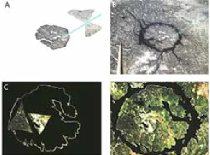 Figure 9. A show detachment image of B, that illustrates the Manicouagan’s crater 51˚23'0"N, 68˚42'0"W