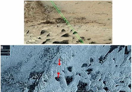 Figure 13. We verify that the geo-line image features are not artifact for two principal reasons: Comparative satellite sensory infrared images analysis documenting the green electromagnetic stripe line coincides perfectly with the satellite no sensory 