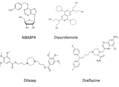 Figure 1.5. Chemical structures of ENT inhibitors 