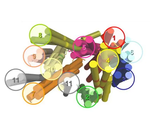 Figure 1.11. Structural model of LdNT1.1 based on ab initio analysis.  