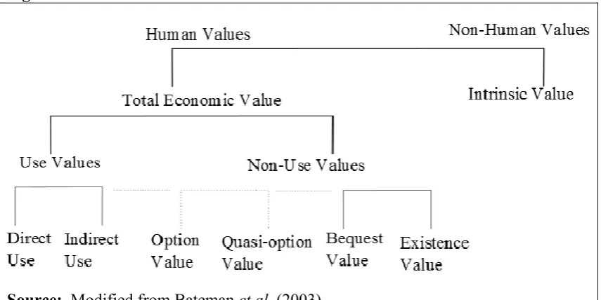 Figure 1: The distinction between the human and non–human values 