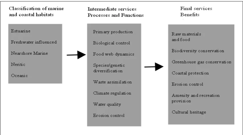Figure 2: The interrelation of marine and coastal habitats with the intermediate and final services
