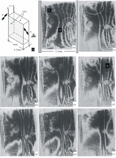 Figure 2. Sketch of sample and successive frames of evolution of interferencion strips
