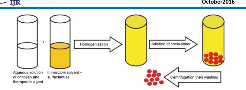 Figure 2: Schematic representation of production of chitosan micro/nanoparticles by chemical 