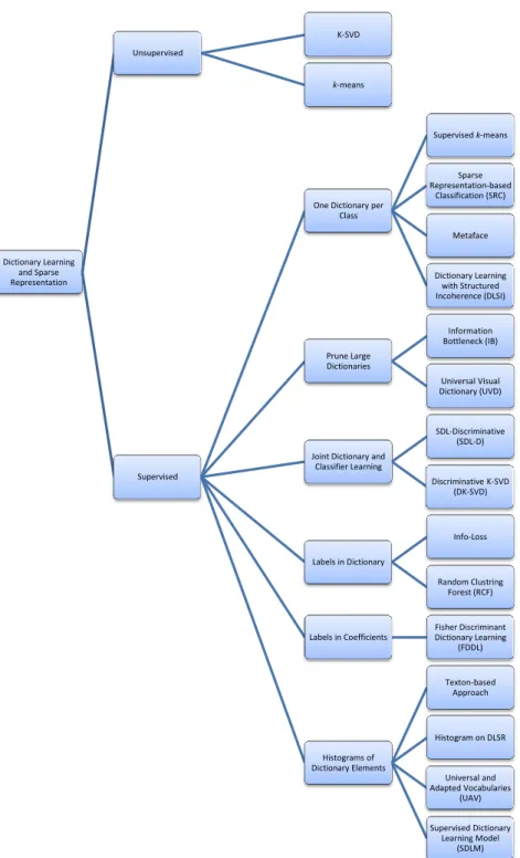 Figure 2.2: Taxonomy of dictionary learning and sparse representation as presented in this