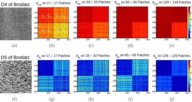 Figure 5.1: The distances computed on patches extracted from (a) D4 and (f) D5 of Brodatz album