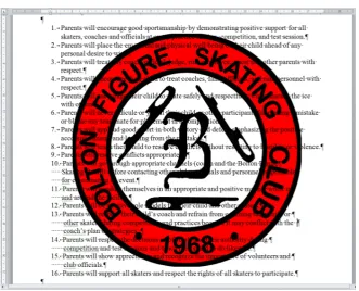 Figure 9. The sample presents (1) an example of using a tool (picture positioned behind the text, making it unreadable) without checking its effect and (2) an example of the un-rational use of Space and Enter characters from item 10 on the list