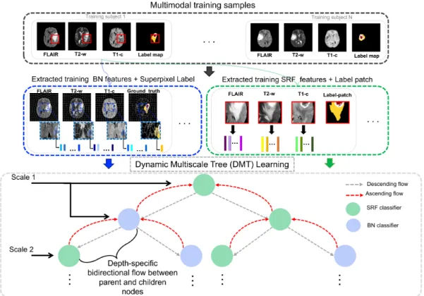 Figure 1: Proposed Dynamic Multi-scale Tree (DMT) learning architecture for multi-label classification (training stage)