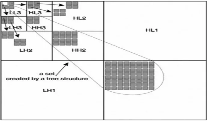 Fig. 1: Parent-children dependency and spatial orientation trees across wavelet subbands in SPIHT