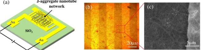 Figure 5. (a) Schematic of J-aggregate nanotube-based sensor platform. (b) Optical mi-gate nanotube networks.croscopy (a) and SEM (b) images of interdigitated Au electrodes with deposited J-aggre-  