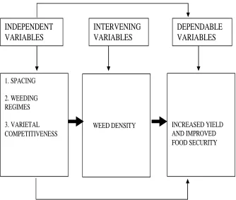 Figure 1.1: Conceptual framework  