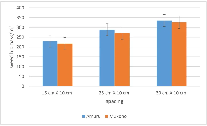 Figure 4.2: Effects of different spacing   on weed biomass/m2 at Amuru and Mukono sites 