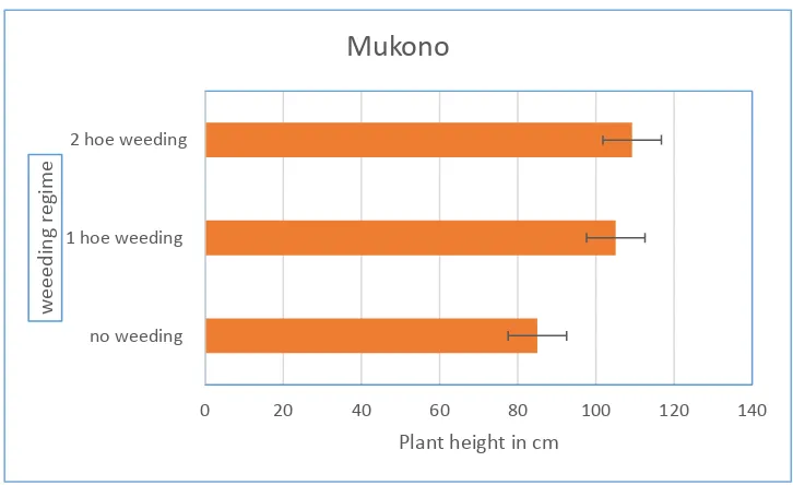 Figure 10.5 a: Effects of Weeding Regimes on Plant Height at Amuru site 