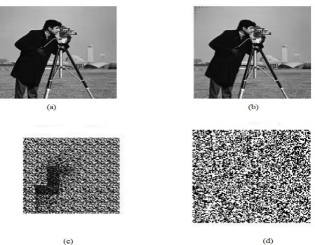 Fig 3. Result of encoder.  Figure 3 (a) shows cameraman image as the carrier image, (b) shows the watermarked image where the pout 