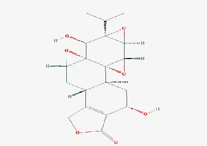 Table 1: The affinity and binding energy scores obtained for the selected 10 ligands for docking with the target