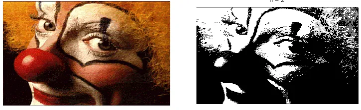 Fig. Input image and otsu segmented image 