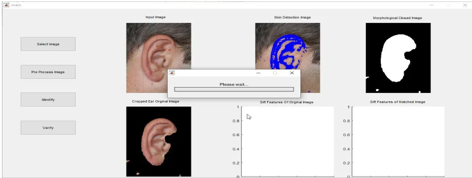 Figure 5: Ear Extraction using morphological close image 