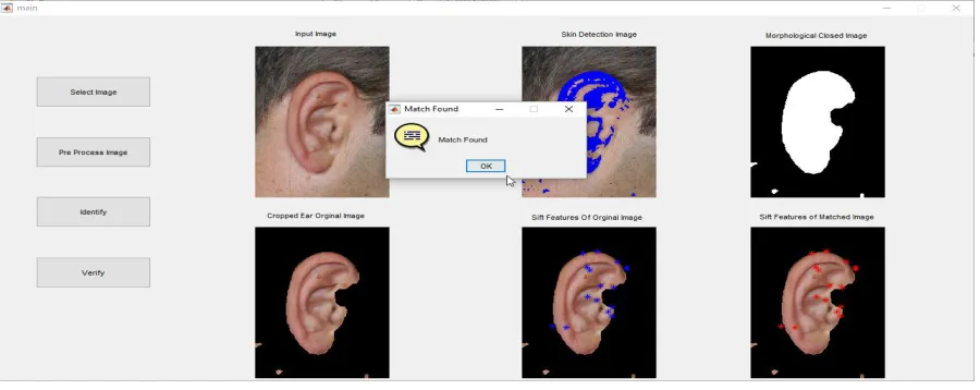 Figure 6: Ear Identification 