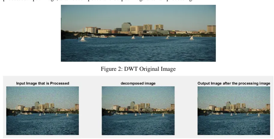 Figure 2: DWT Original Image 