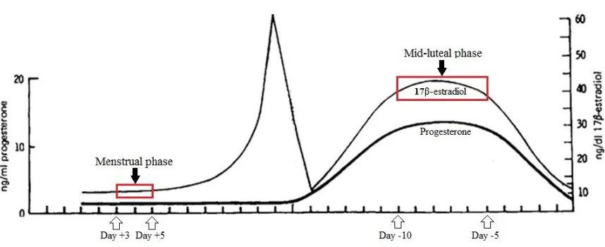 Figure 1.4. An illustration of the typical changes in progesterone and 17β-estradiol 
