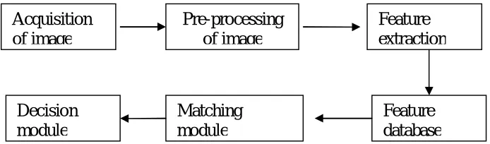 Fig 1: Flow Diagram of System                           