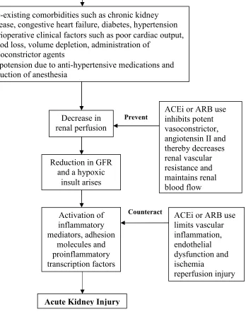 Figure 2: Preoperative ACEi or ARB use may prevent AKI18;19;23;25;28;46-50;54-58 