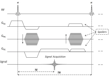Figure 1.1: A generic SPGR pulse sequence diagram. Here an RF pulse with  and Gangle is applied