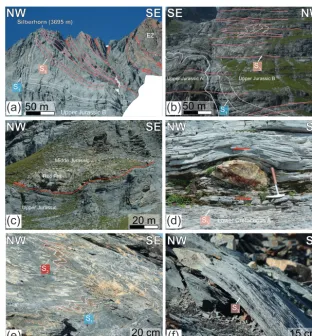 Figure 7. Field examples of key deformation structures within the sedimentary rocks. (a) Modulation of the previous foliation (S1, whitelines) by the latest stage fault system (solid red lines) and the contemporarily induced foliation (S3, pink lines) in t