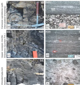 Figure 8. Deformation structures on outcrop and microscale.due to consisting of magnesium calcite, which makes these minerals stronger (Xu et al., 2009)