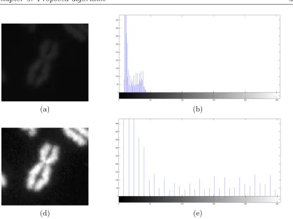 Figure 3.5: Depicts an example of the eﬀect of intensity normalization on a DAPI
