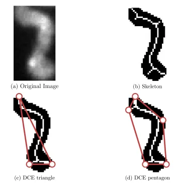 Figure 3.8: Comparison between standard skeleton with DCE based skeletal