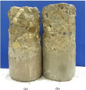 Figure ‎4.6: Effect of curing on physical sulphate attack of concrete made with                       OPC +25% FA at w/b = 0.60: (a) non-cured specimen; and (b) specimen moist cured for 28 days