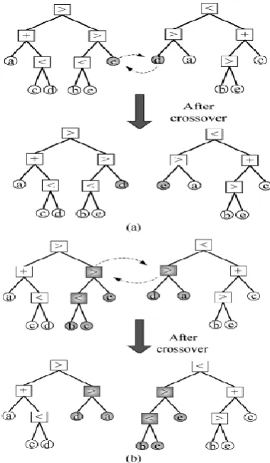 Figure 2: (a) Crossover operation between two operands. (b) Crossover operation between two operators