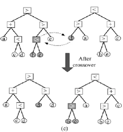 Figure 2: (c) Crossover operation between an operand and an operator. 