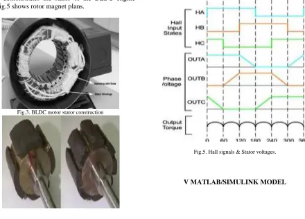 Fig.5. Hall signals & Stator voltages. 