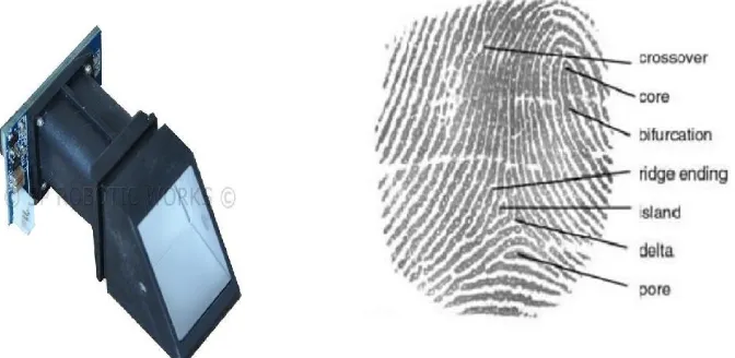 Fig. 4 R305 module and fingerprint recognition with various features 