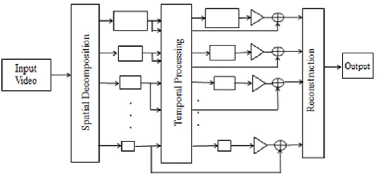 Fig. 1 EVM framework  
