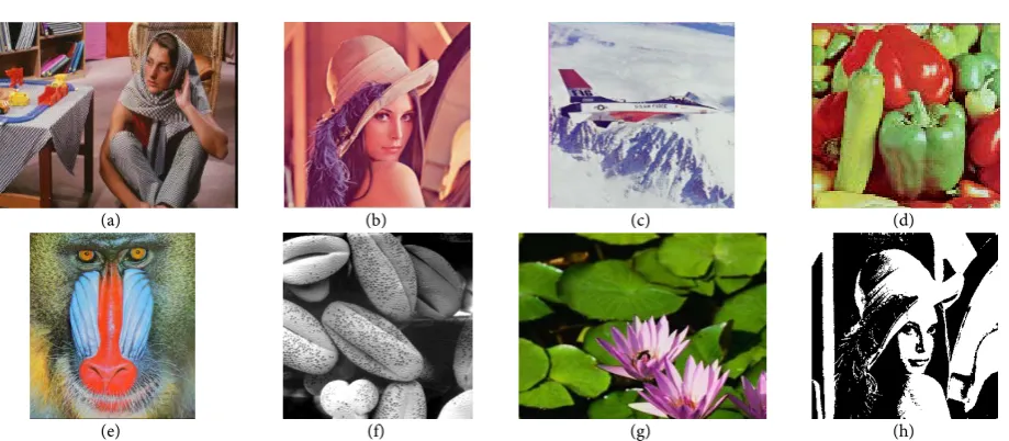 Figure 10. Sample test images. (a) Barbra of size (400 × 300). (b) Lena of size (300 × 300)