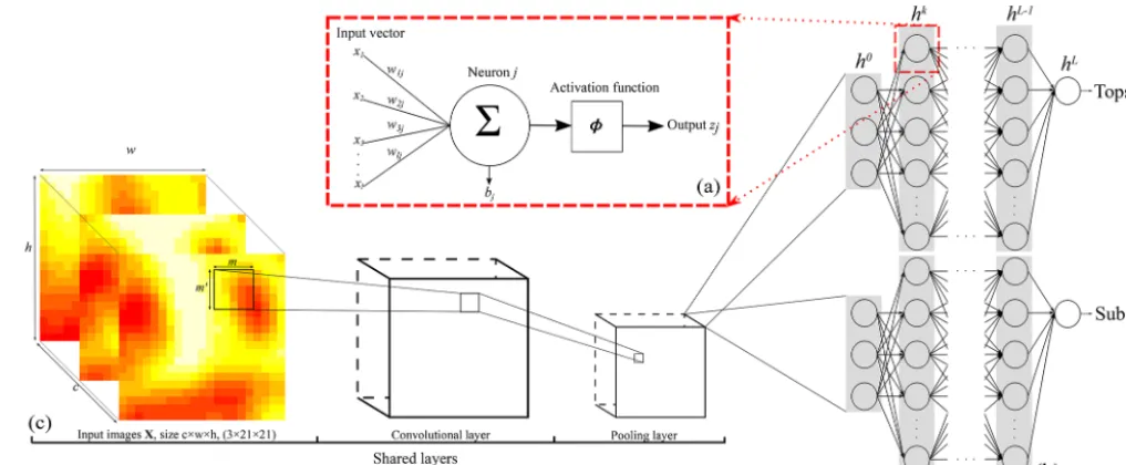 Figure 1. Representation of the CNN architecture developed in this study for (a) a neuron, (b) the ANN architecture or fully connectedlayer, and (c) the convolutional and pooling layers