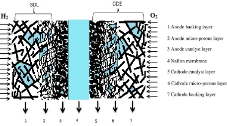 Figure 2-6 A schematic picture of a seven layer Membrane Electrode Assembly (MEA) ‎