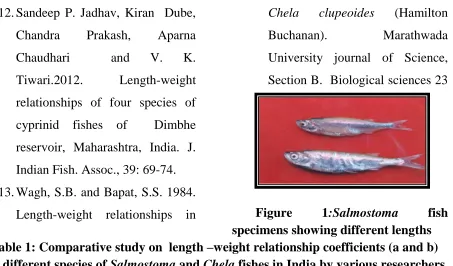 Figure 1specimens showing different lengths :Salmostoma fish Table 1: Comparative study on  length –weight relationship coefficients (a and b) 