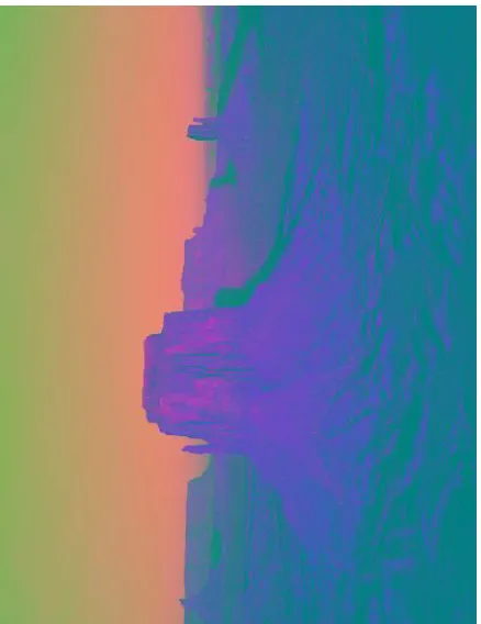 Figure 4: Cr component of original image  