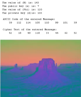 Figure 6: Watermarked image  