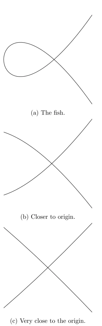Figure 5.1: Investigating the local behaviour of yline is insu2 − x2(x + 1). Notice a singleﬃcient to approximate the curve at the origin.