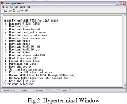 Fig 2: Hyperterminal Window 