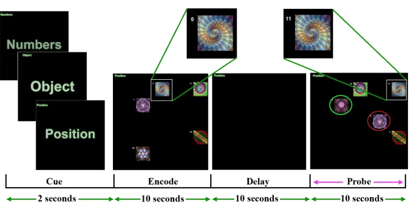 Figure 2: Task design of experiment 1. In this example, participants were required to 